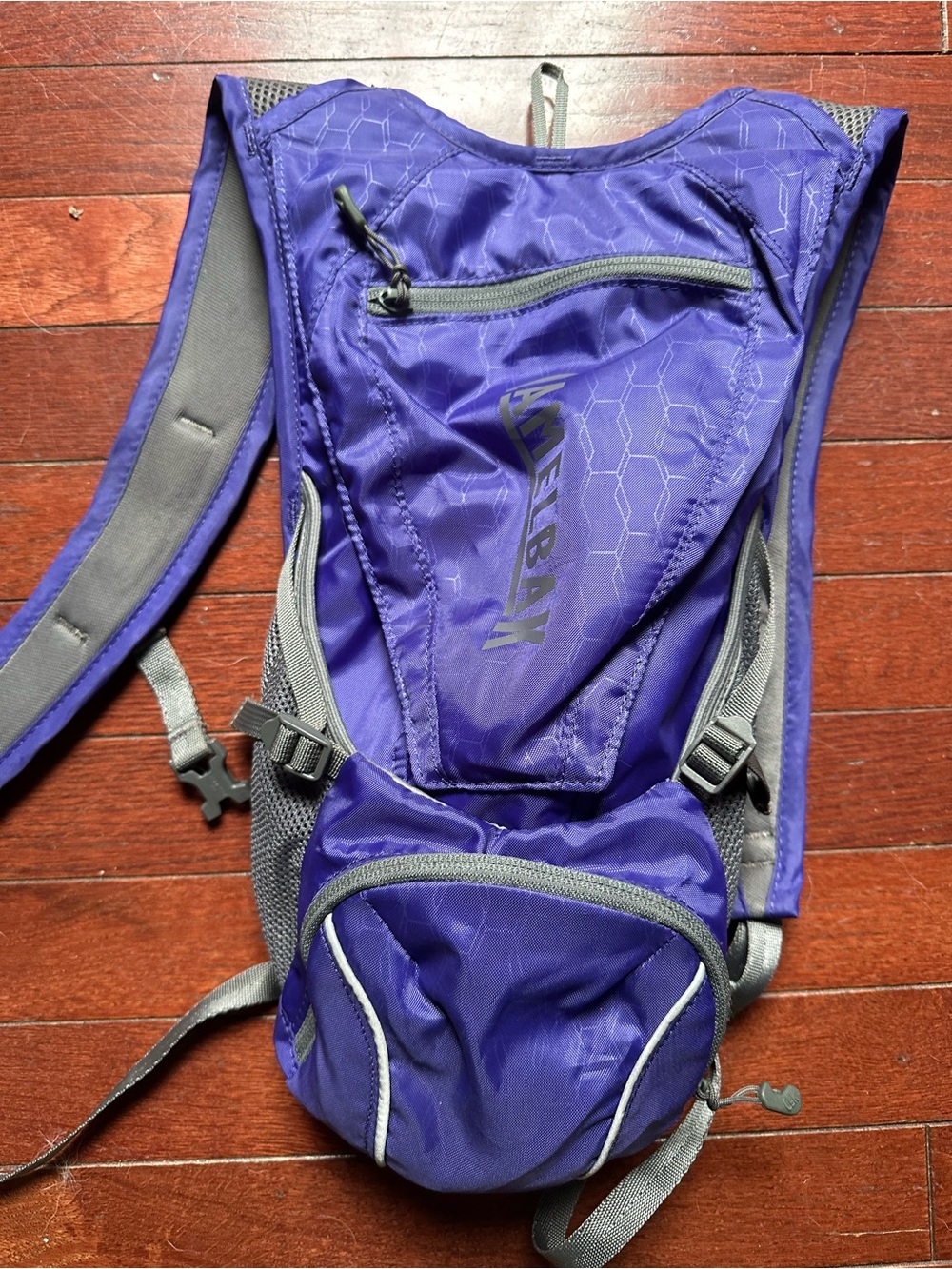 CamelBak Purple Hydration Backpack with Gray Accents